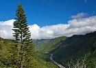 Aiea Loop Trail